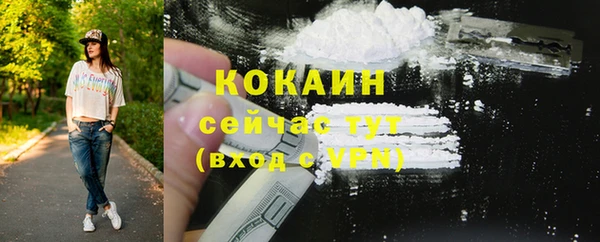 твердый Богородск