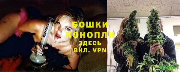 мескалин Богородицк